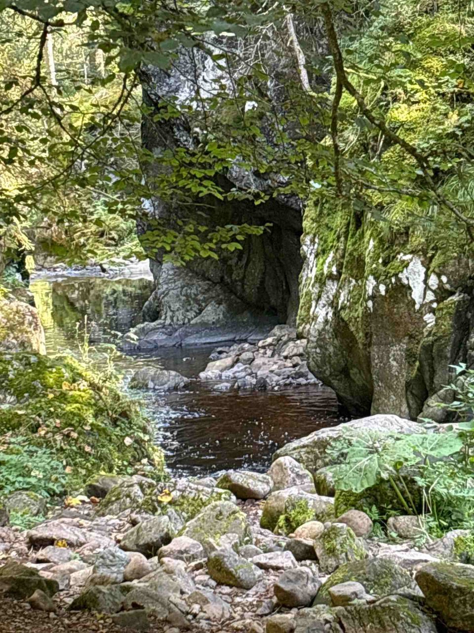 	14 3 Tage auf dem Schluchtensteig im Südschwarzwald